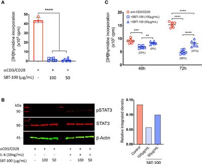 STAT3-Specific Single Domain Nanobody Inhibits Expansion of Pathogenic Th17 Responses and Suppresses Uveitis in Mice